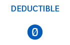 icon deductible zero